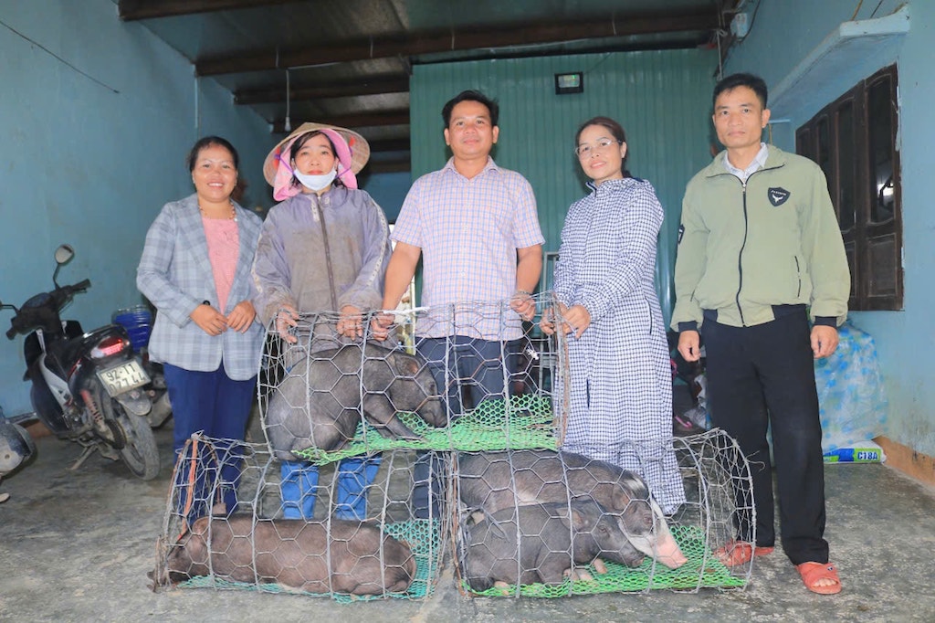 Mô hình hỗ trợ người nghèo nuôi heo đen bản địa đang mang lại hiệu quả tích cực ở Phước Chánh.