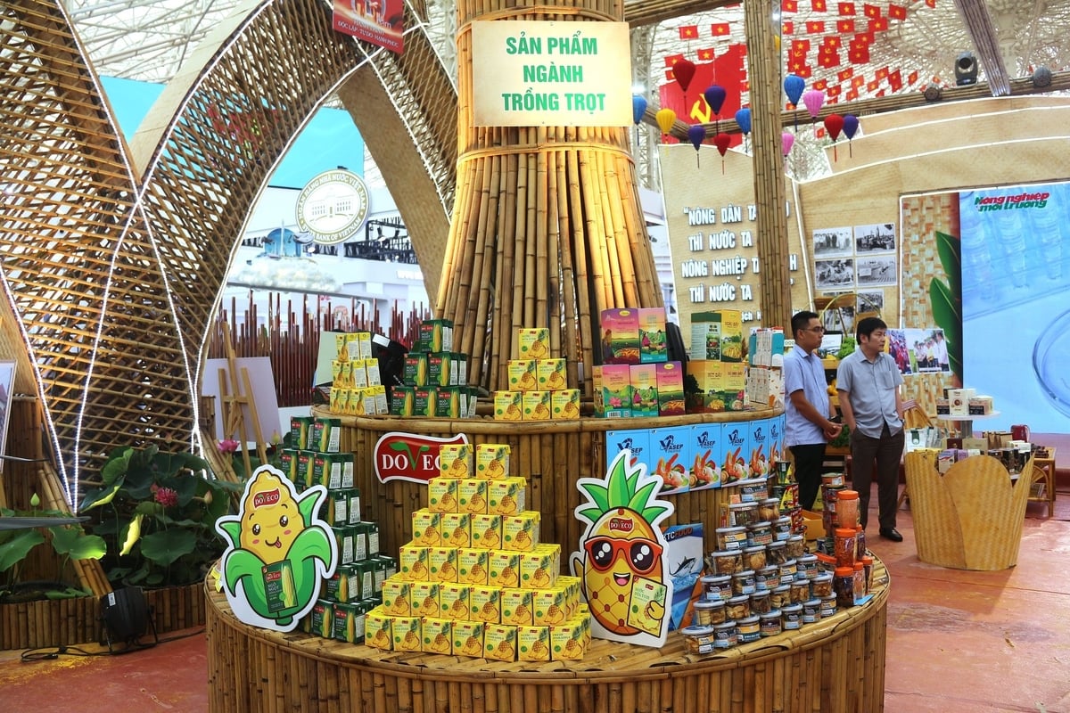 Không gian trưng bày các sản phẩm ngành trồng trọt tại Triển lãm.