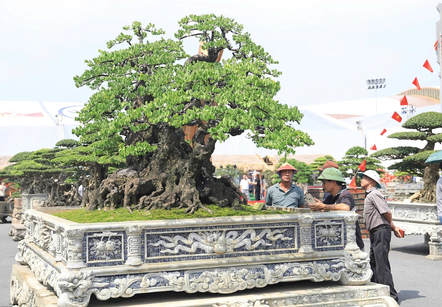 Không gian Sinh vật cảnh - “Làng trong phố”.