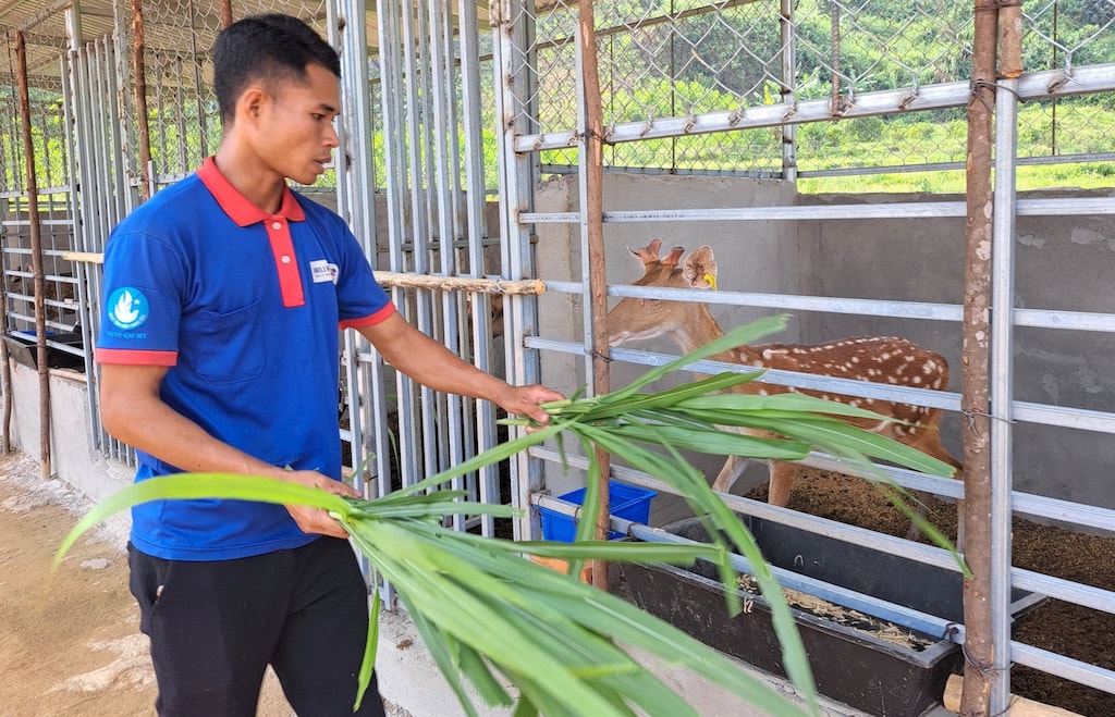 Thời gian tới xã Đông Giang sẽ tiếp tục tập trung phát triển triển nghề chăn nuôi hươu lấy nhung theo hướng liên kết chặt chẽ với HTX.
