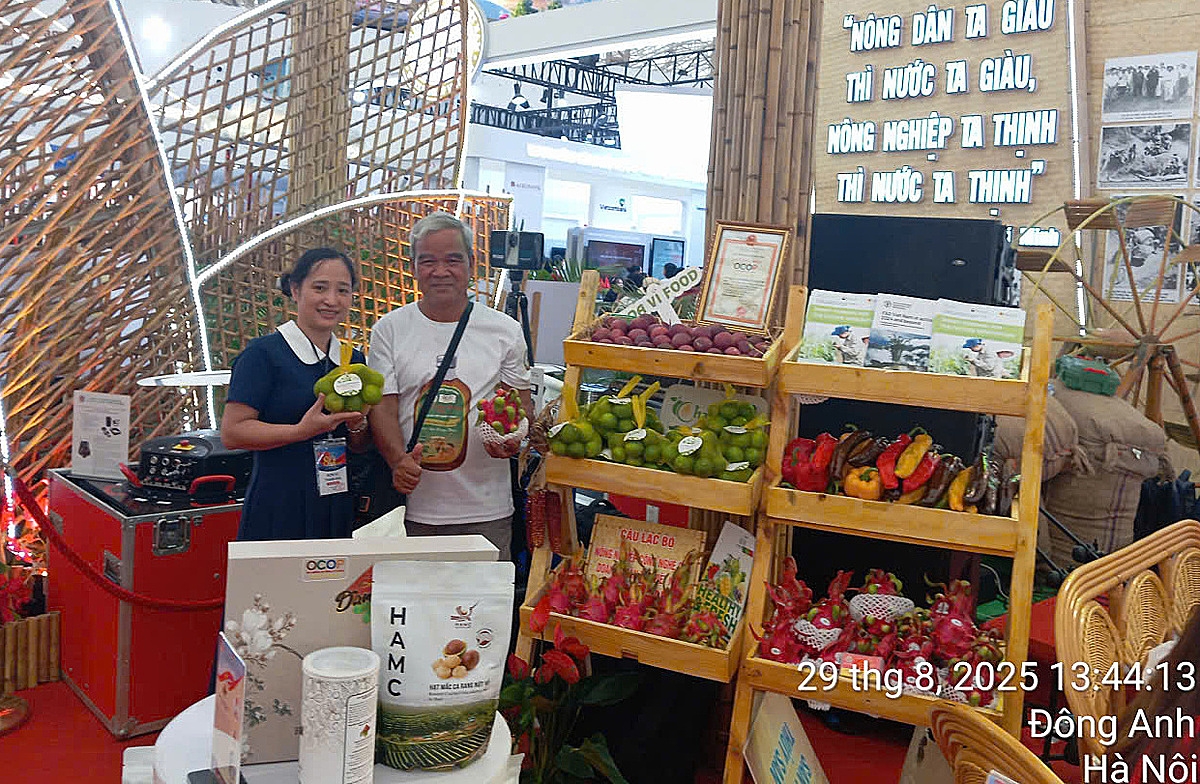 Tham gia vào HTX, hình thành các chuỗi liên kết là chìa khóa giúp các hộ sản xuất nâng cao giá trị kinh tế.