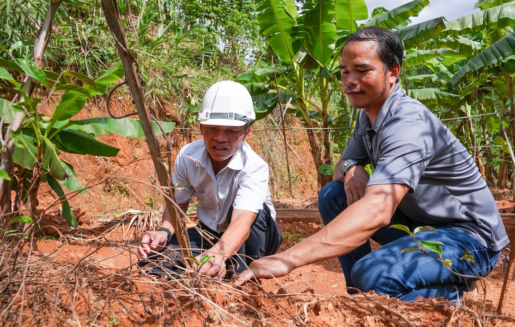 Xã Đông Giang cũng đang ưu tiên phát triển chuỗi liên kết trồng cây dược liệu nhằm cải thiện sinh kế cho người dân, đồng bào dân tộc thiểu số.