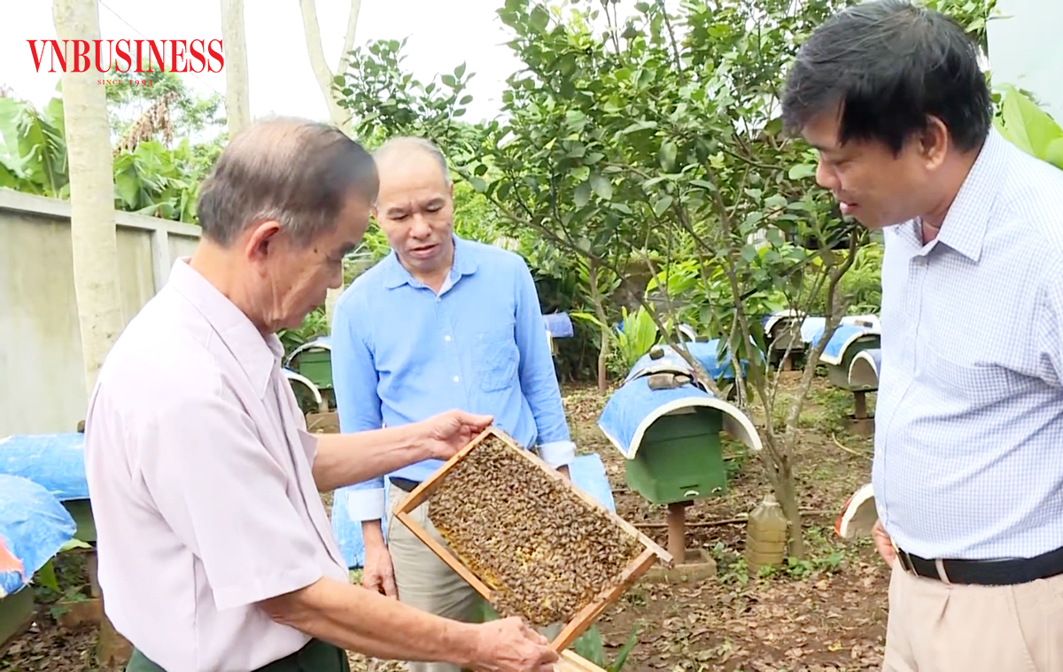 Các sản phẩm OCOP ở Nghệ An đang cho giá trị ngày càng cao.