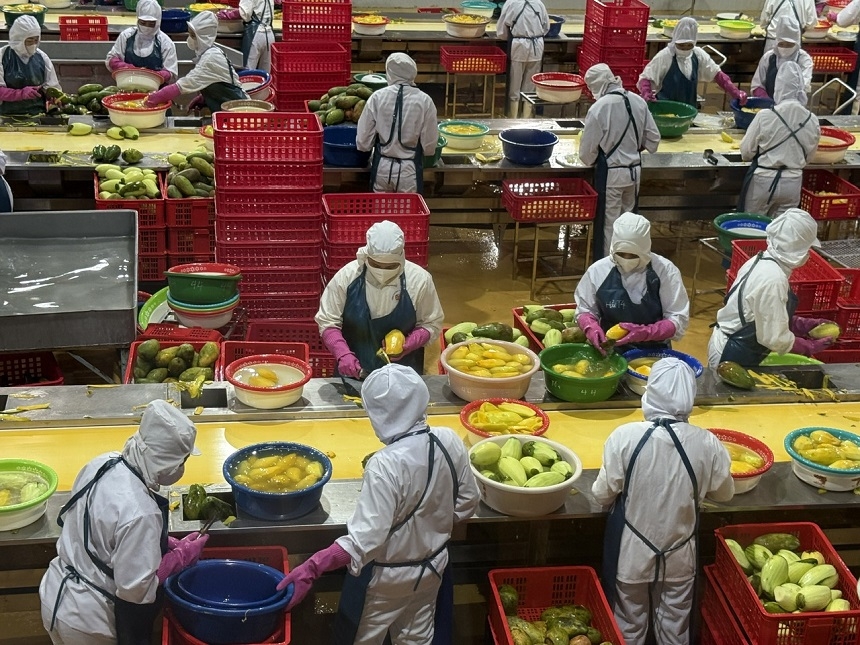 Xuất khẩu nông sản 8 tháng đã qua của năm 2025 đạt 45,37 tỷ USD, tăng 12% so với cùng kỳ năm 2024.