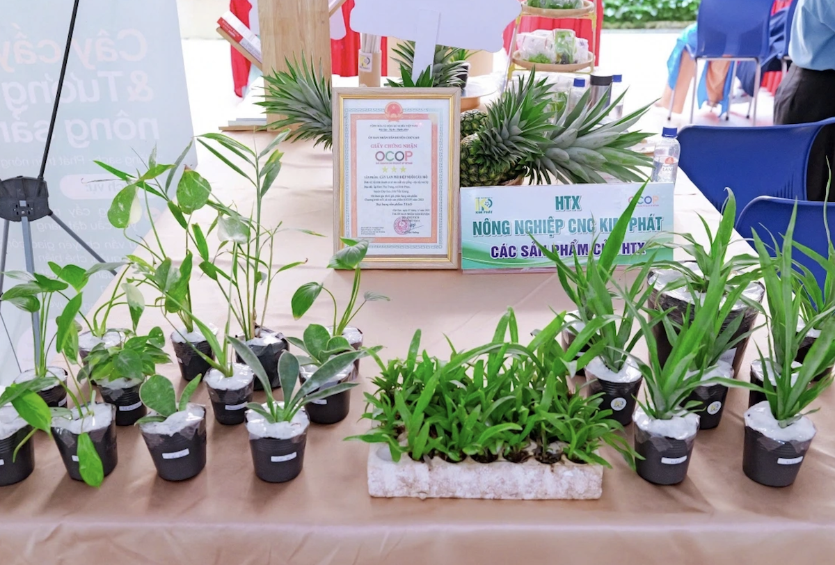 HTX được Chứng nhận OCOP 3 sao “Sản phẩm lan phi điệp nuôi cấy mô” của UBND Chợ Gạo.