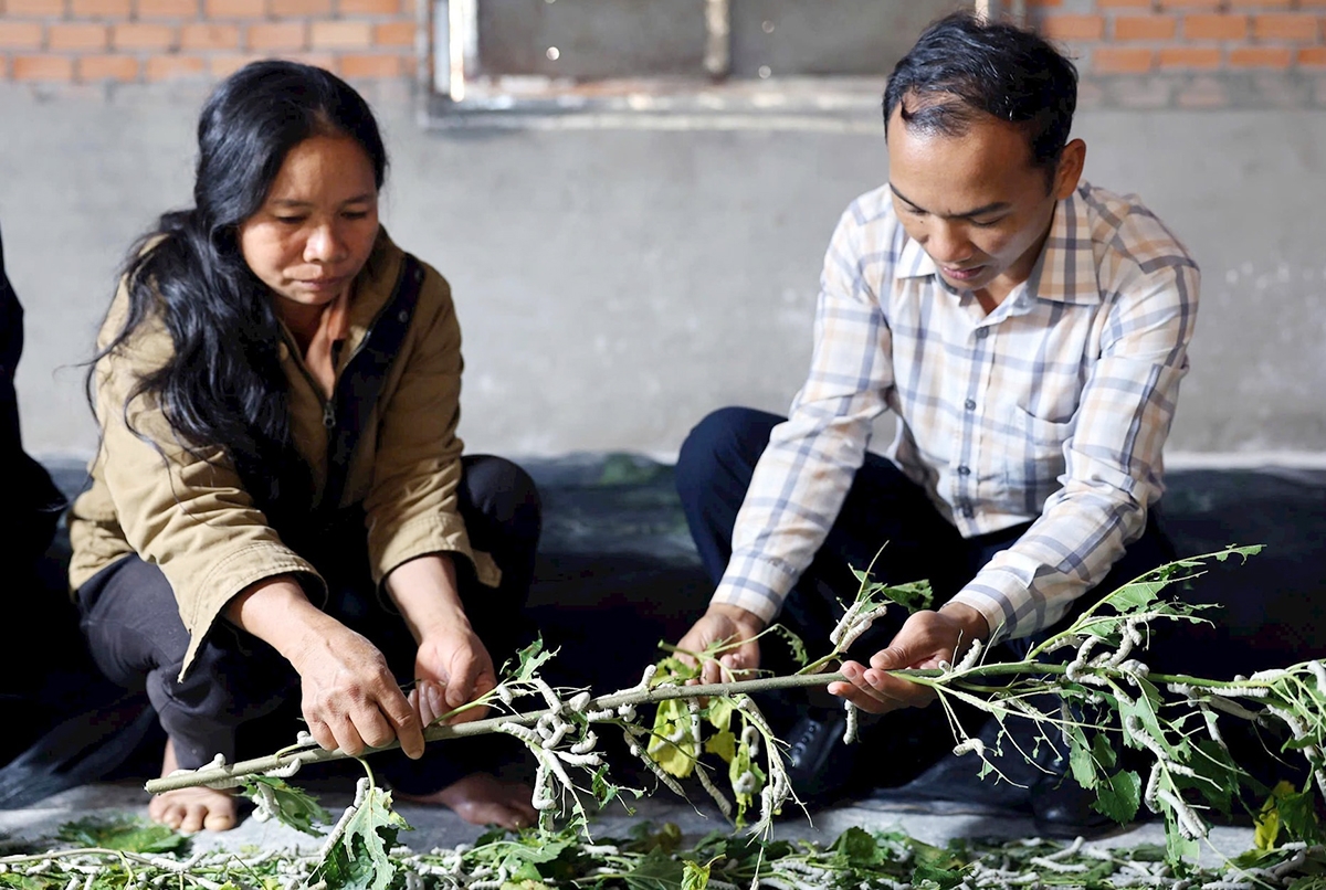 Sản xuất hiệu quả là động lực xây dựng nông thôn mới ở Lâm Đồng &lpar;Ảnh: BLĐ&rpar;.