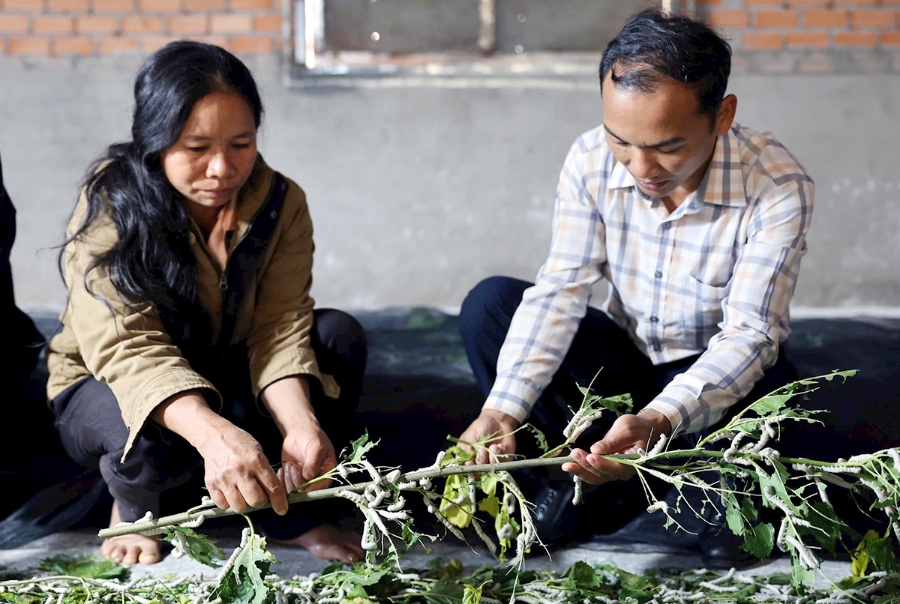 Sản xuất hiệu quả là động lực xây dựng nông thôn mới ở Lâm Đồng &lpar;Ảnh: BLĐ&rpar;.