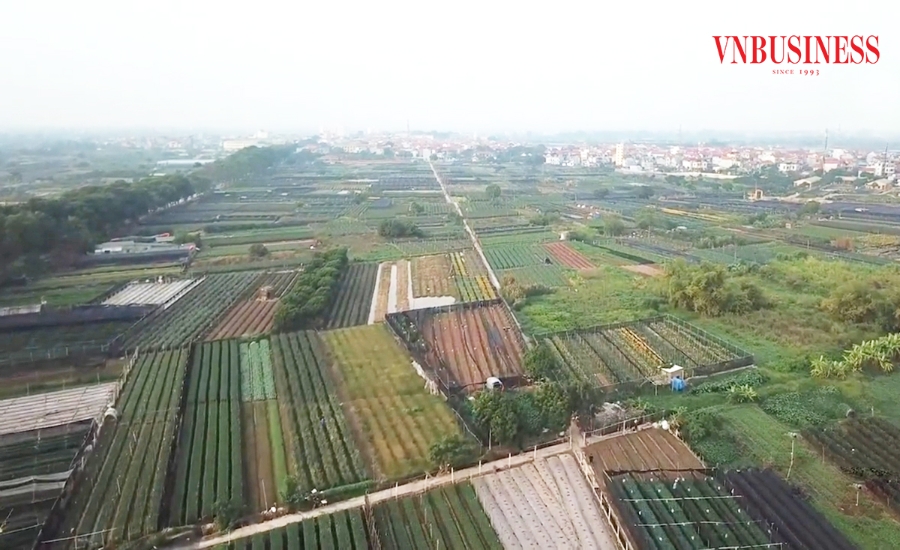 Hà Nội đang đẩy mạnh gỡ vướng trong sử dụng và quản lý đất nông nghiệp.