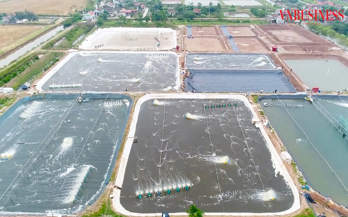 Sản xuất theo quy mô lớn là chìa khóa giúp nông dân, HTX ở Ninh Bình nâng cao hiệu quả kinh tế, thoát nghèo, làm giàu.