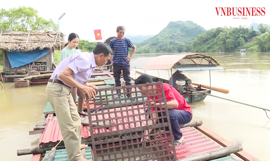 Sản xuất hiệu quả hơn trong lòng nông thôn mới ở Tuyên Quang.