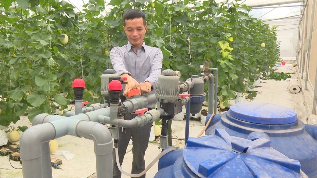 Nhiều HTX đã đầu tư cho nông trại thông minh.