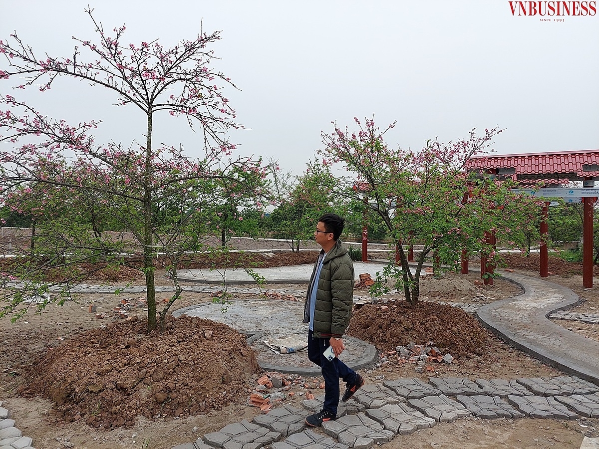 Mô hình trồng hoa cây cảnh chất lượng cao kết hợp du lịch sinh thái nông thôn tại HTX Phúc Hoàng.