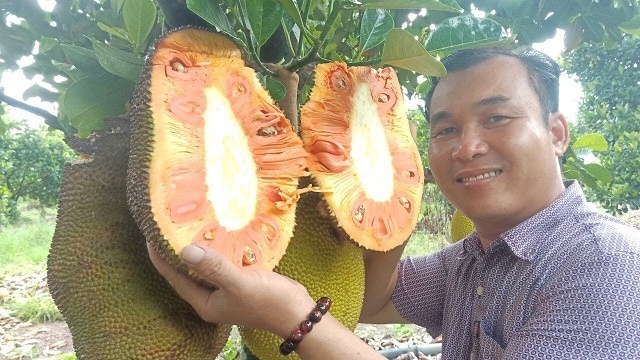 Các HTX vùng biên đã từng bước gắn kết cùng nông dân tạo chuỗi liên kết và đem lại cơ hội làm giàu cho nông dân.