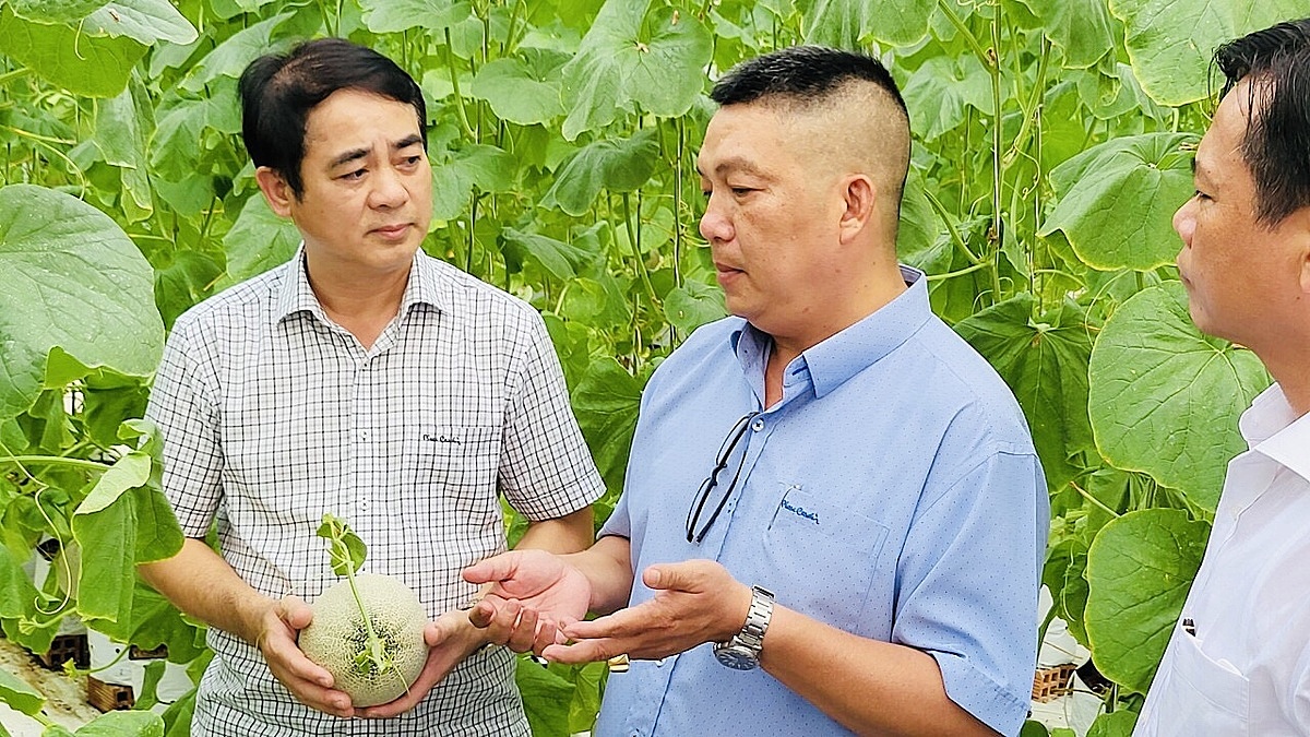 Đầu tư vào nông nghiệp hàng hóa thúc đẩy giảm nghèo bền vững.