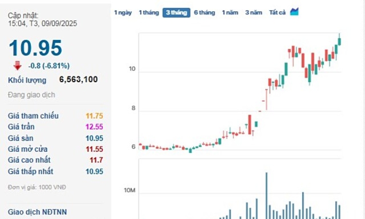 Cổ phiếu EVG trượt chân nằm sàn trên đường chinh phục đỉnh
