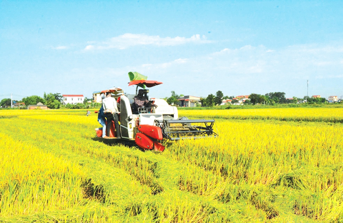 Ứng dụng khoa học kỹ thuật là chìa khóa thành công của nông dân, HTX.