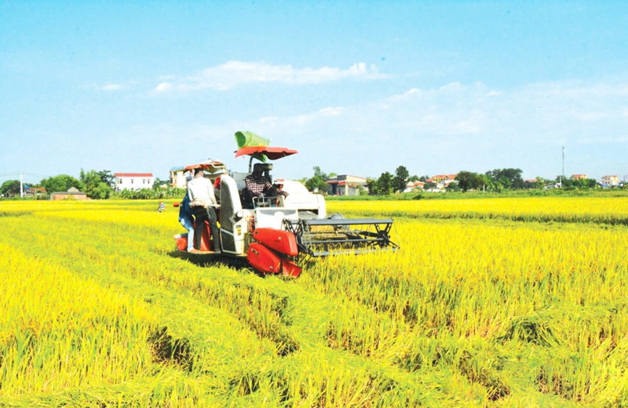 Ứng dụng khoa học kỹ thuật là chìa khóa thành công của nông dân, HTX.