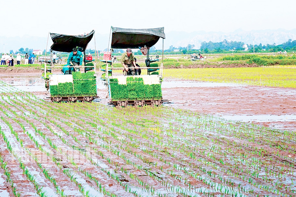 Các HTX góp phần tích cực thúc đẩy cơ giới hóa, nâng cao hiệu quả sản xuất cho nông dân.