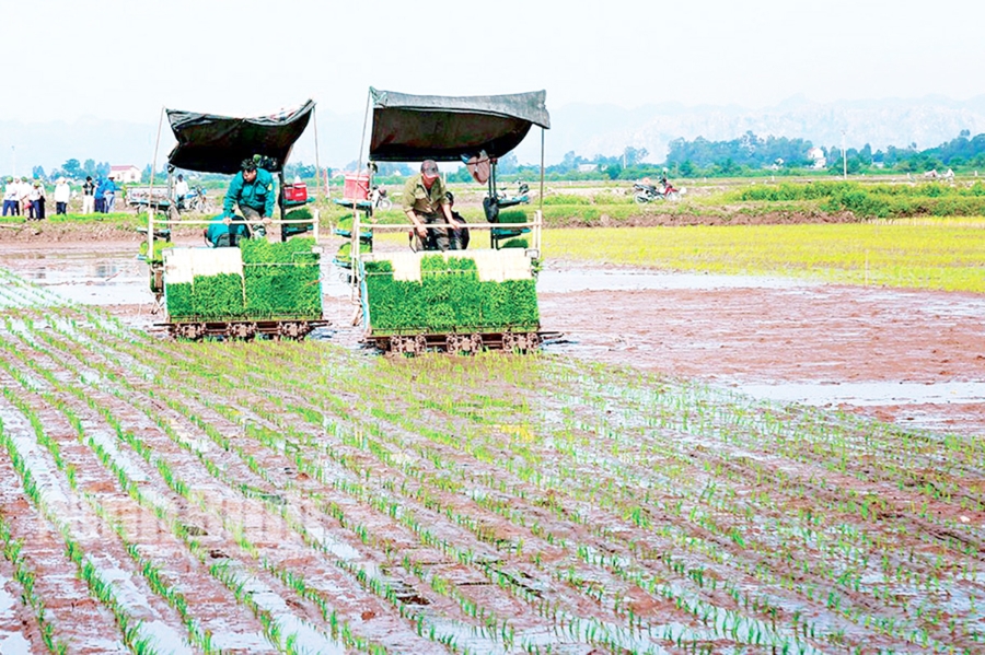 Các HTX góp phần tích cực thúc đẩy cơ giới hóa, nâng cao hiệu quả sản xuất cho nông dân.