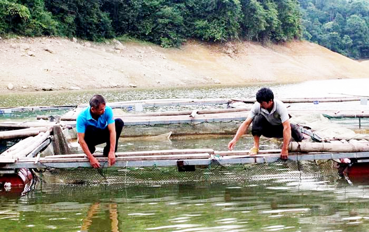 Các HTX thuỷ sản tại Lạng Sơn bắt tay liên kết với nhau để tìm đầu ra cho sản phẩm.