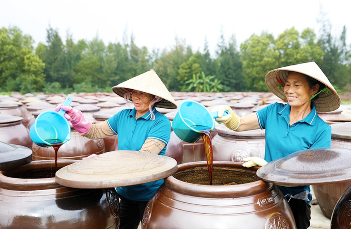 Những sản phẩm OCOP thế mạnh đang là động lực xây dựng nông thôn mới ở Hà Tĩnh &lpar;Ảnh: BHT&rpar;.