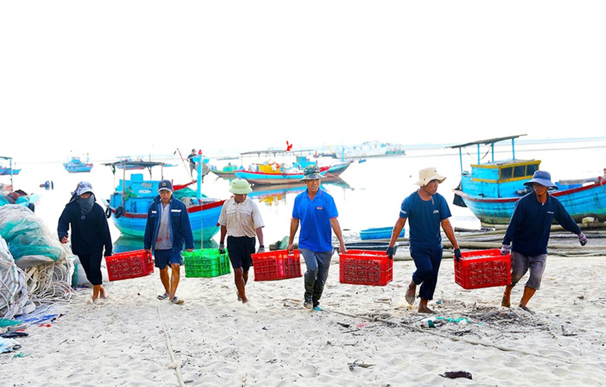 Các HTX đang có những đóng góp tích cực vào phát triển các sản phẩm OCOP tại Hà Tĩnh &lpar;Ảnh: BHT&rpar;.