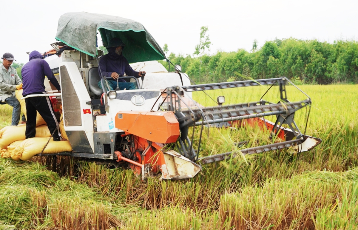Các sản phẩm OCOP đang mang lại giá trị cao cho nông dân, HTX ở Quảng Trị.
