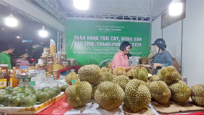 Sầu riêng và bơ của tỉnh Đắk Lắk tham gia tại Tuần hàng trái cây, nông sản các tỉnh, thành phố năm 2025.
