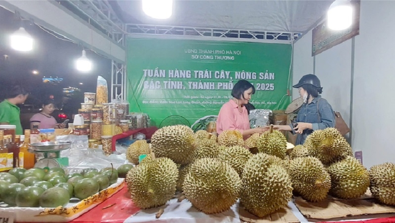 Sầu riêng và bơ của tỉnh Đắk Lắk tham gia tại Tuần hàng trái cây, nông sản các tỉnh, thành phố năm 2025.
