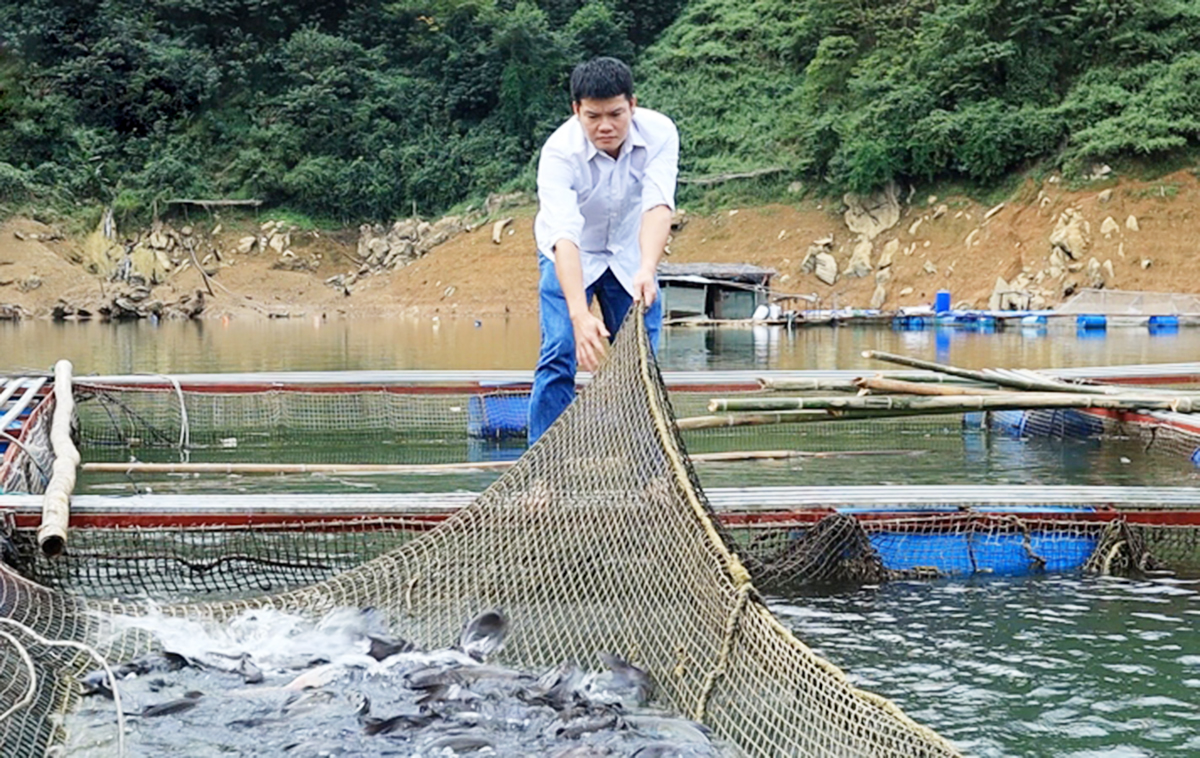 Thành công trong chuyển đổi nông nghiệp là nền tảng xây dựng nông thôn mới ở Lai Châu.