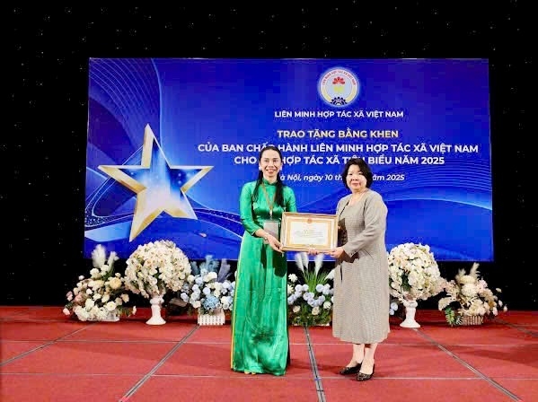 HTX luôn nhận được sự động viên khen thưởng kịp thời từ Liên minh HTX Việt Nam và Liên minh HTX TP Hải Phòng.