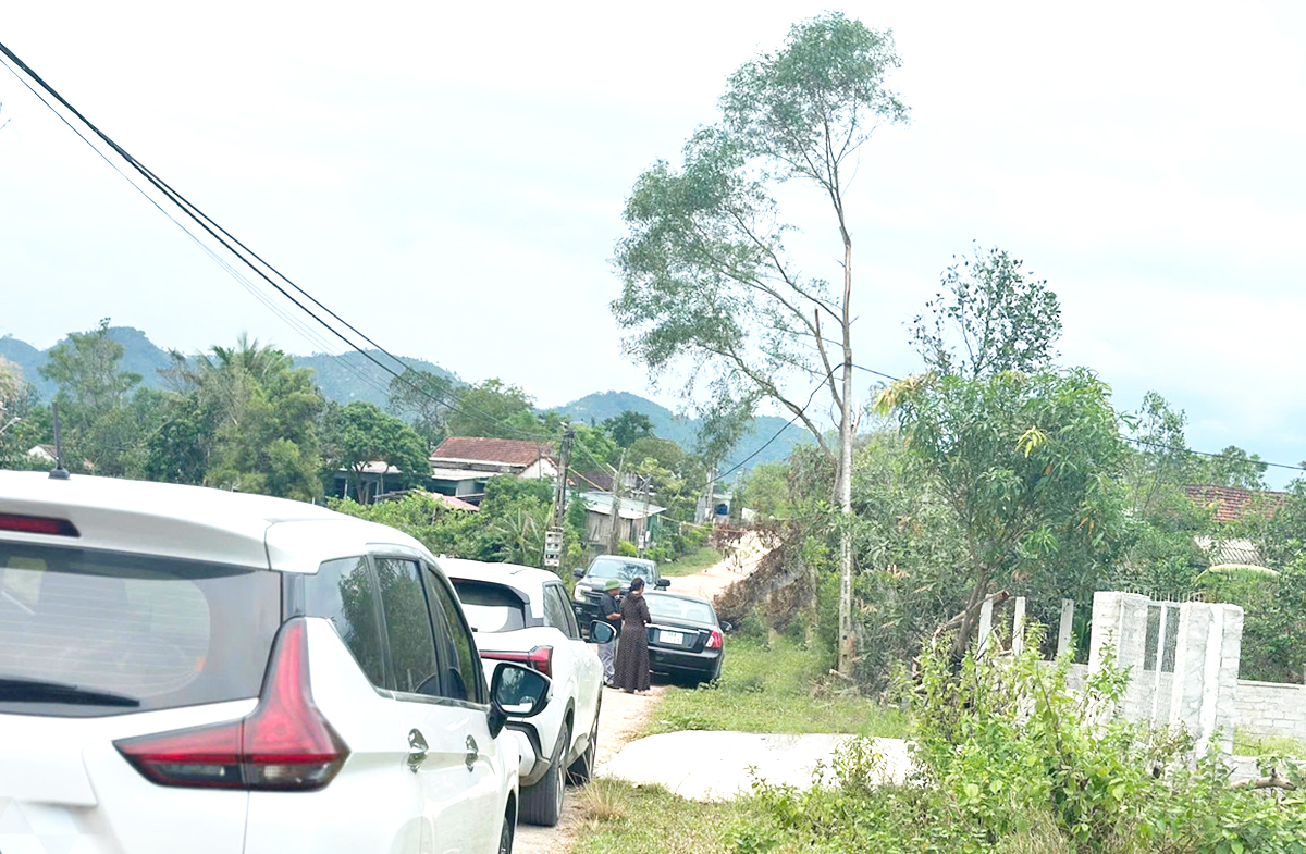 Ô tô của cò đất, nhà đầu tư đổ về làng quê Hà Tĩnh &lpar;Ảnh: TP&rpar;.