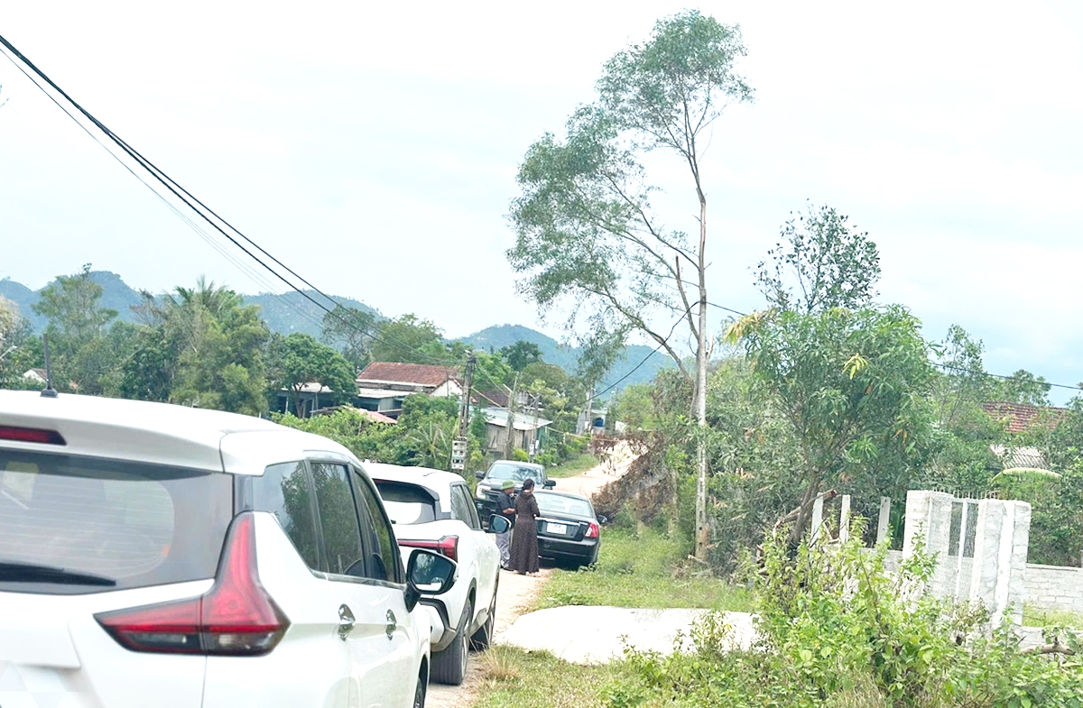 Ô tô của cò đất, nhà đầu tư đổ về làng quê Hà Tĩnh &lpar;Ảnh: TP&rpar;.