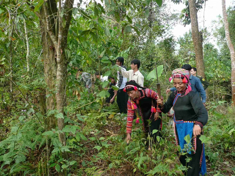 Quỹ Bảo vệ và Phát triển rừng Việt Nam cho biết, dự kiến trong tháng 9 - 10/2025, Quỹ sẽ tiếp nhận 5 triệu USD &lpar;khoảng trên 130 tỷ đồng&rpar;.