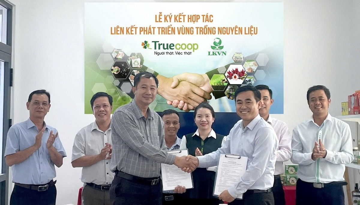 HTX liên kết với doanh nghiệp về phát triển vùng nguyên liệu, thúc đẩy nông nghiệp xanh, mở rộng kênh tiêu thụ bền vững ở Khánh Hòa.