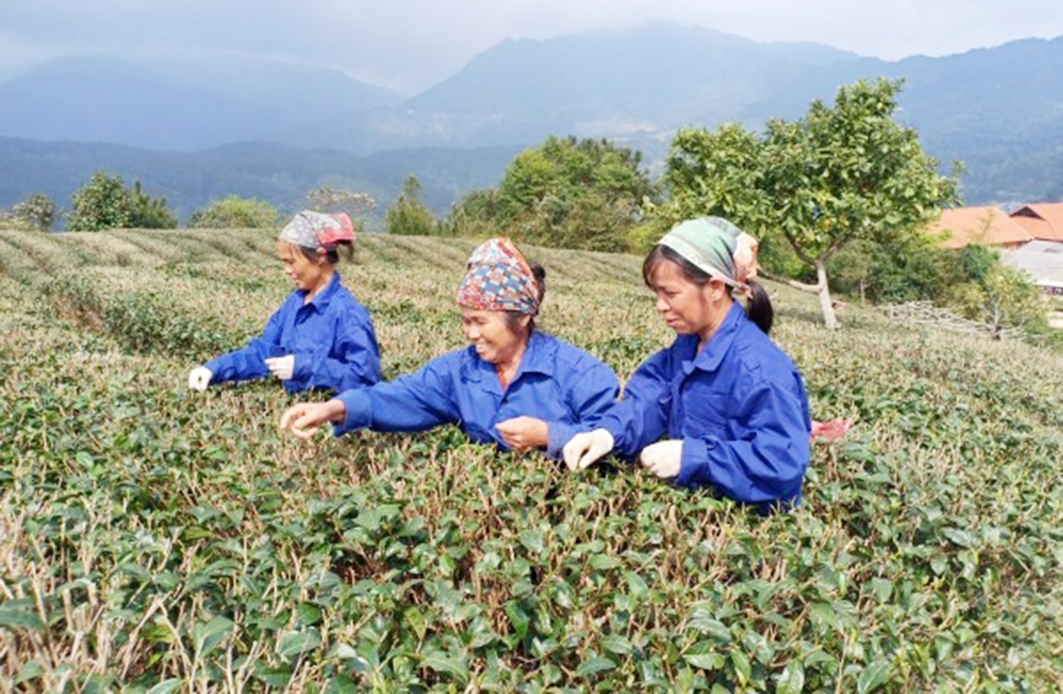 Nhờ thành công trong nông nghiệp, diện mạo nông thôn mới tỉnh Cao Bằng ngày càng khởi sắc.