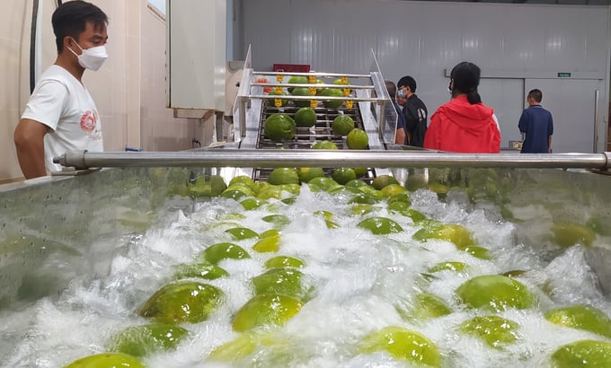 Nguồn nhân sự chất lượng cao có vai trò quan trọng đối với HTX.