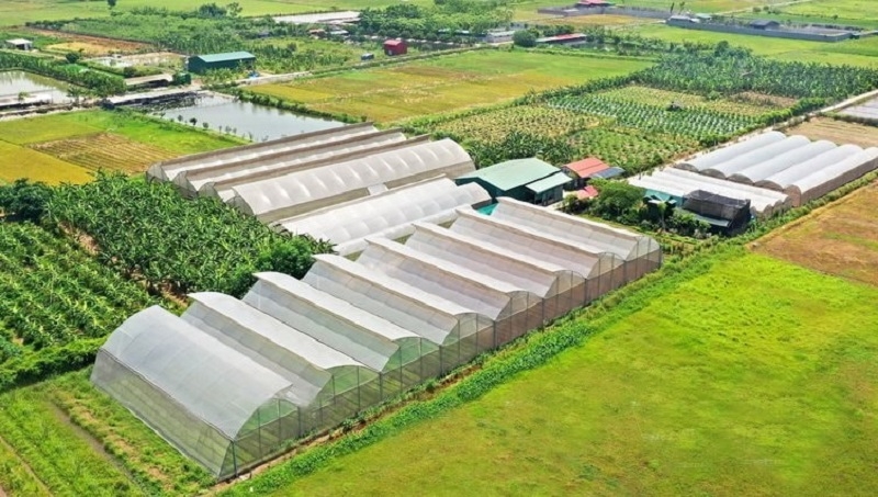 Luật Đất đai 2024 cho phép xây dựng công trình phụ trợ trên đất nông nghiệp, đã giúp tháo gỡ rào cản pháp lý và thúc đẩy phát triển nông nghiệp hiện đại.