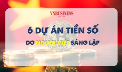 VnBusiness