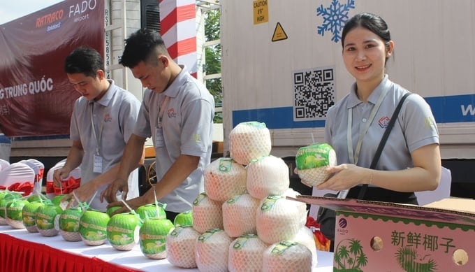 HTX có vai trò quan trọng trong hoàn thiện chuỗi giá trị ngành dừa.