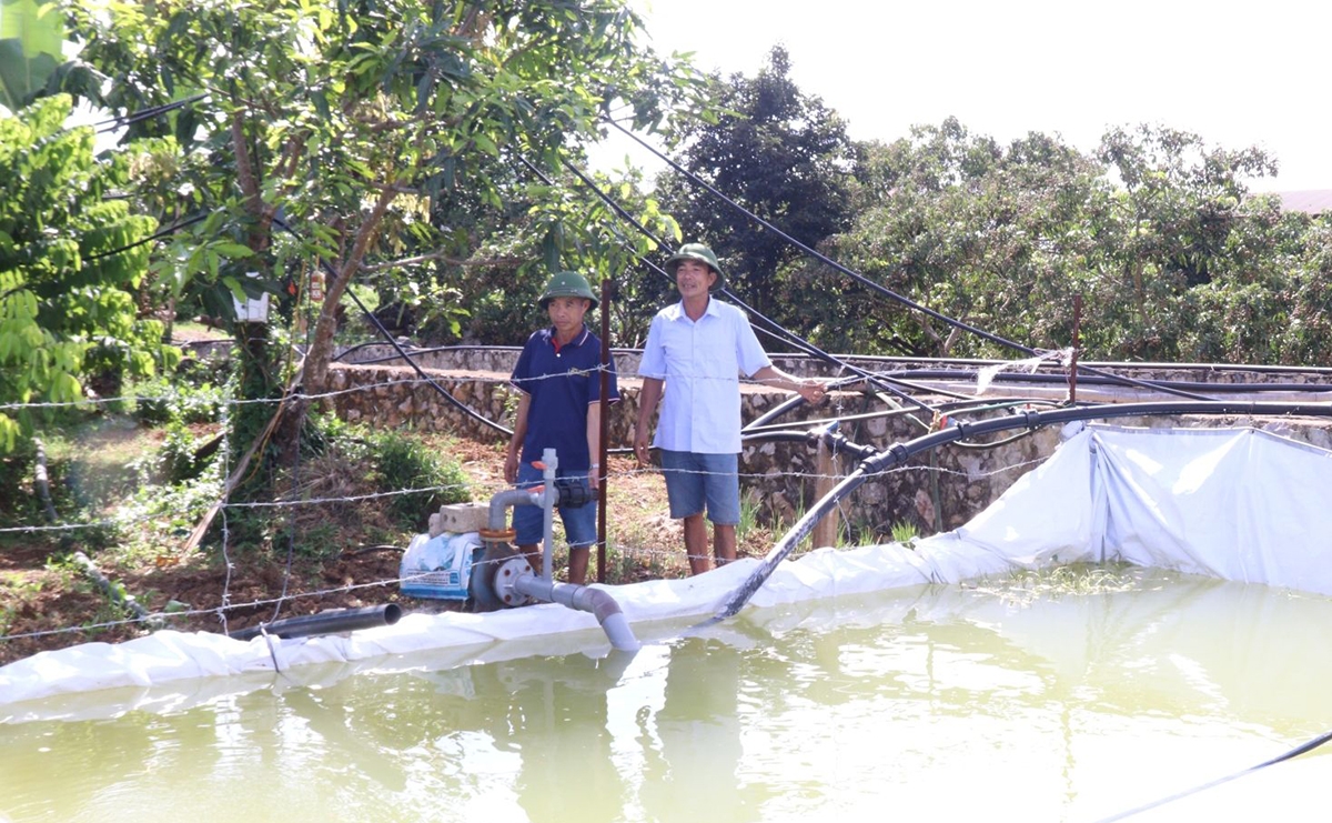 Thành công trong phát triển nông nghiệp đang giúp nông thôn mới ở Sơn La ngày càng giàu đẹp.