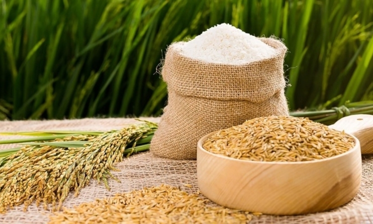 Cổ phiếu ngành gạo khó chồng khó