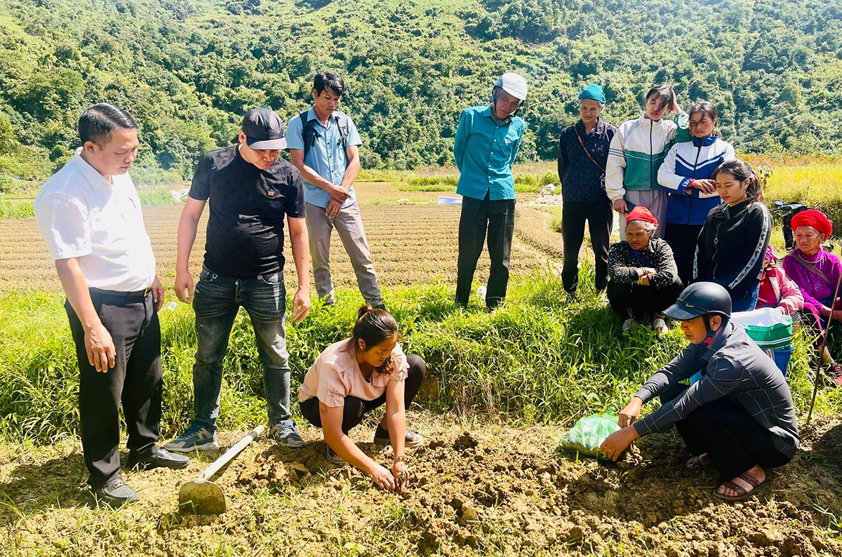 Sự đồng hành của hệ thống Liên minh HTX Việt Nam là một trong những điểm tựa giúp các HTX ở Lai Châu vươn tầm, đóng góp tích cực vào xây dựng nông thôn mới.