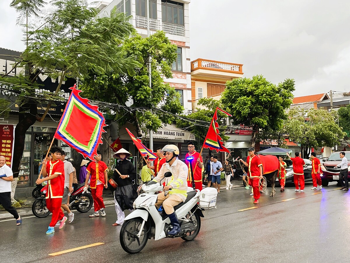 ừng phường rước ông trâu tới sới chọi.