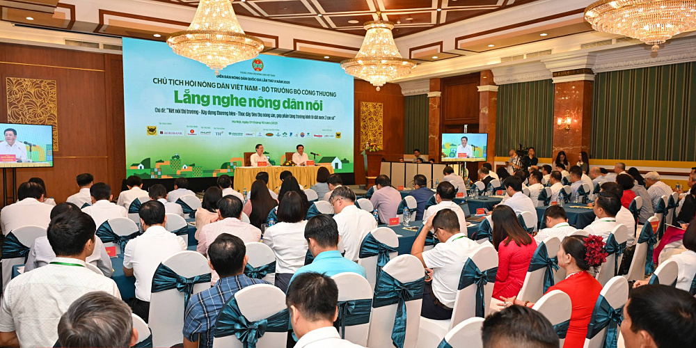 Nông dân, HTX gặp khó khăn trong đưa nông sản lên sàn thương mại điện tử.