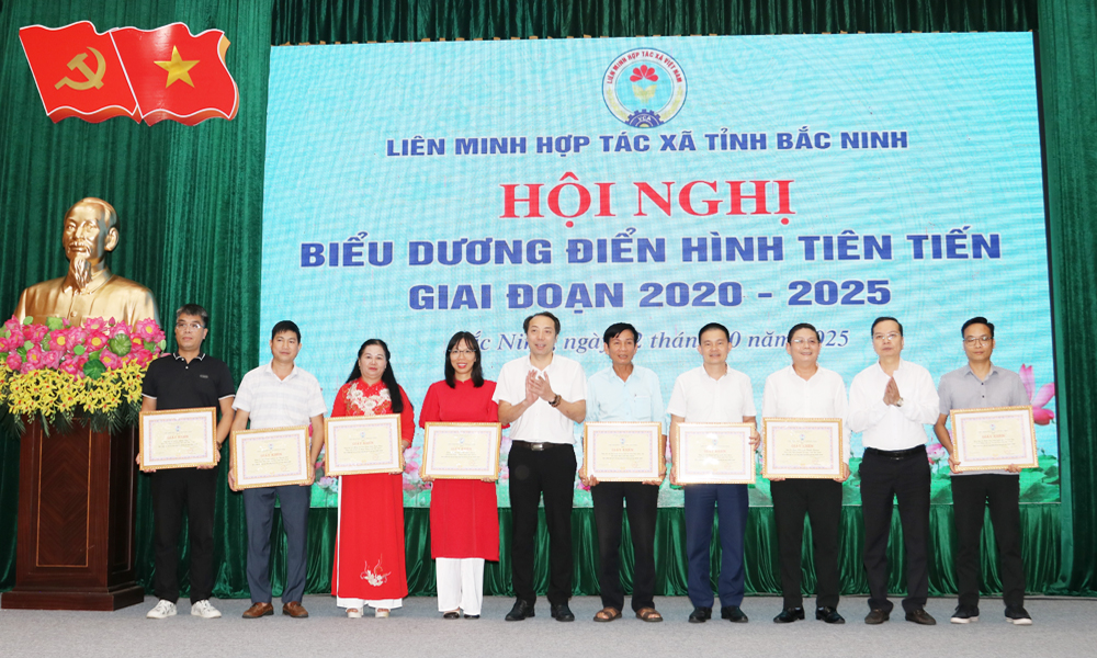Các tập thể có thành tích xuất sắc trong phong trào thi đua giai đoạn 2020 - 2025 được tặng Giấy khen.