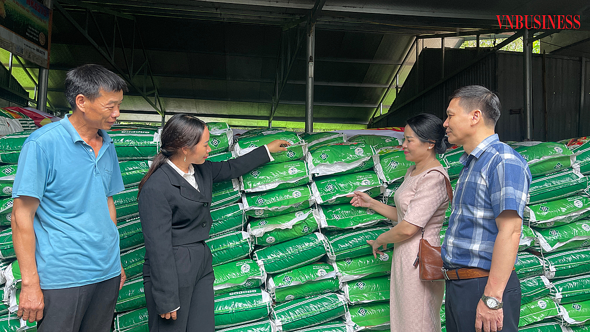 Chủ tịch Liên minh HTX Tỉnh Tuyên Quang xuống nơi tập kết, hướng dẫn về sản phẩm cho bà con xã Bình An.