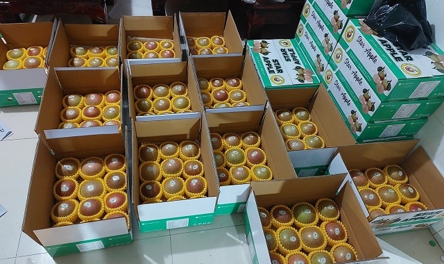 Sản phẩm của HTX bảo đảm truy xuất nguồn gốc, góp phần nâng cao giá trị nông sản qua Chương trình OCOP.