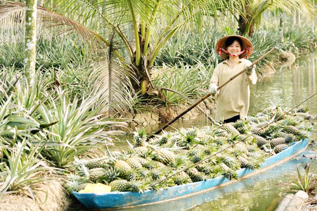 Nông thôn mới An Giang đang thay da đổi thịt trên những vùng đất trù phú.