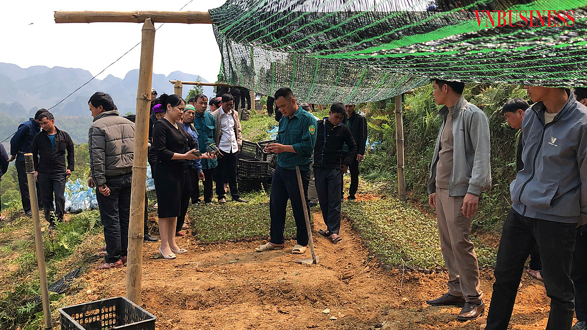 Người dân được hỗ trợ kỹ thuật trực tiếp, tạo đà tăng giá trị sản phẩm cây trồng.